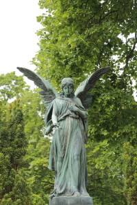 Beerdigung organisieren